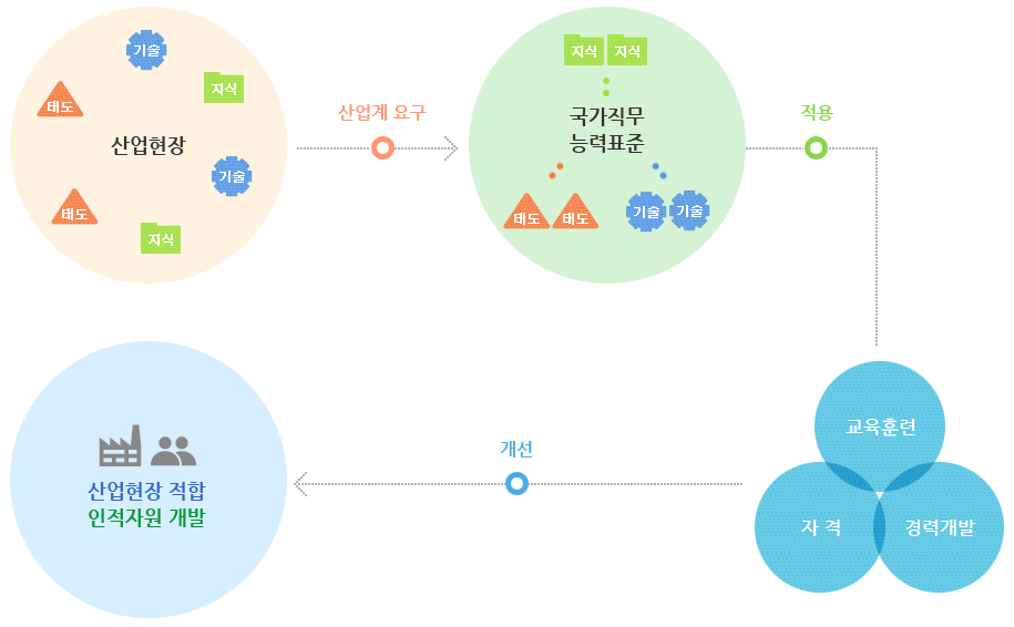  NCS(국가직무능력표준)란 무엇인지 알아볼까요?