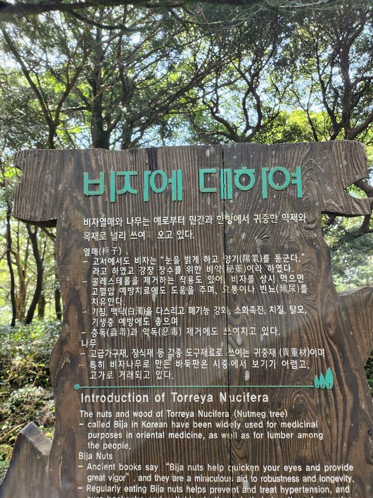 비자림 비자설명