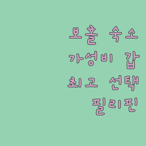 보홀 여행자를 위한 최고의 선택 가성