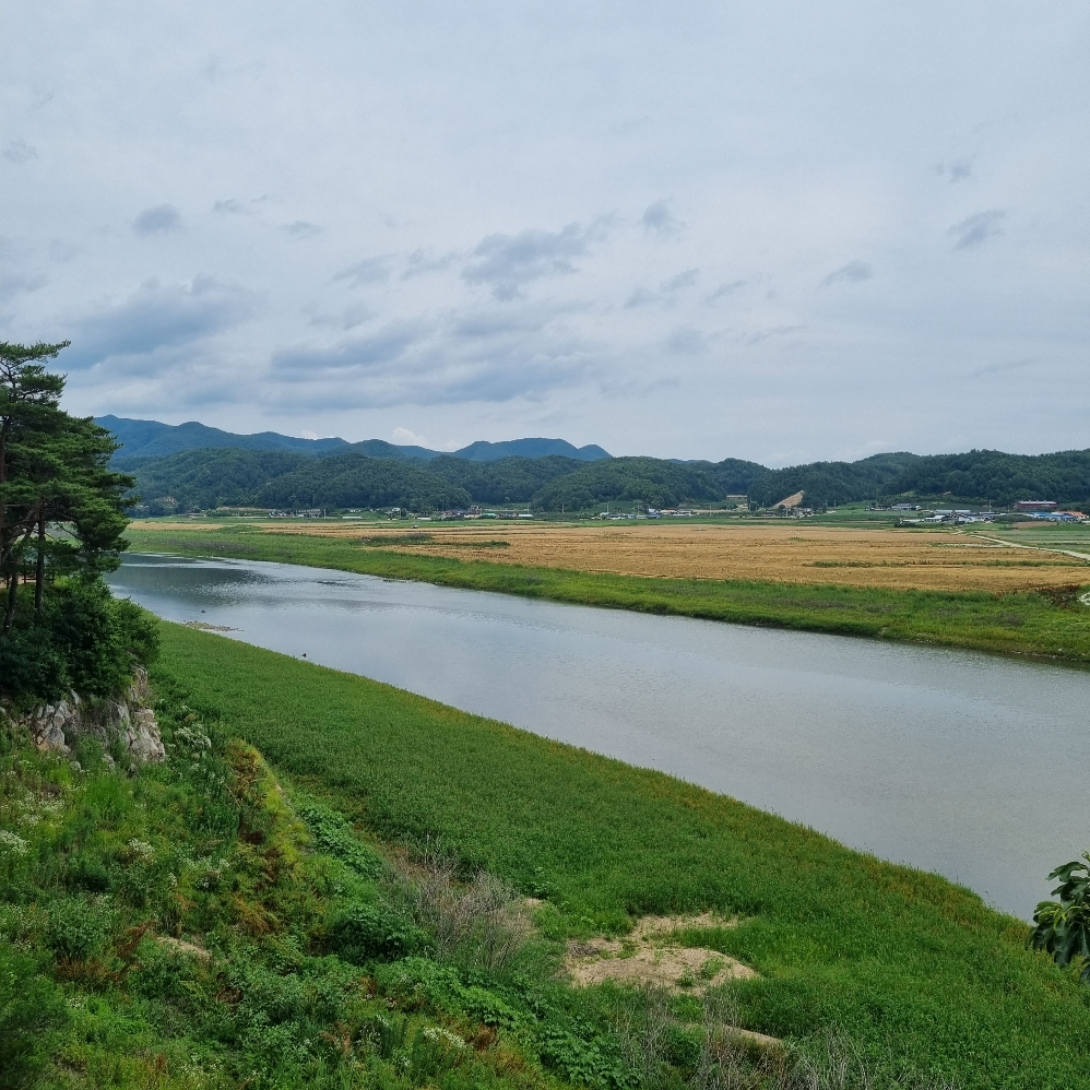 도산서원 낙동강
