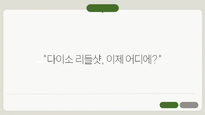 다이소 리들샷 품절