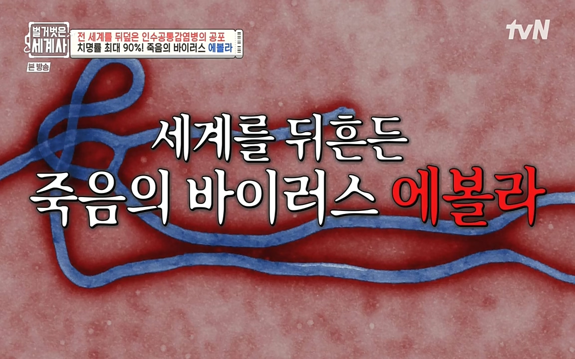 벌거벗은 세계사.E59.220810p-NEXT.mp4_20220810_204504.007.jpg