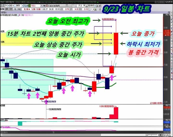 일-봉-차트
