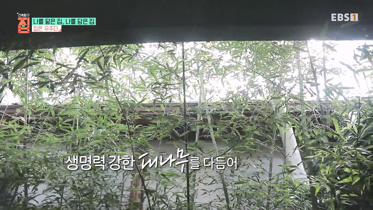 TV - 전 국민의 평생학교 EBS나를 닮은 집, 나를 담은 집.mp4_20240106_171258.894.jpg