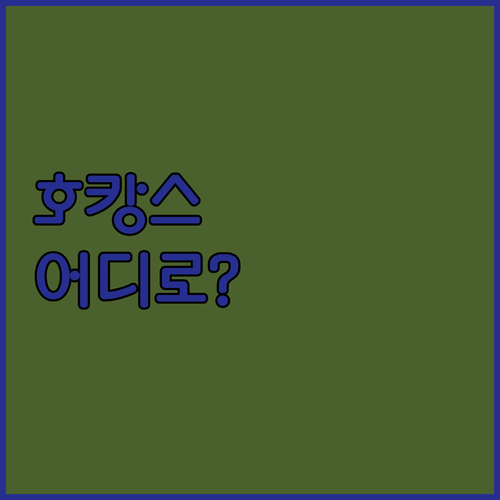 인터불고 엑스코 vs UH 플랫 시그