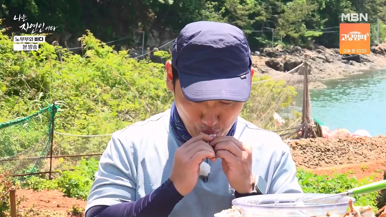 나는 자연인이다.E610.240620p-NEXT.mp4_20240620_194750.565.jpg