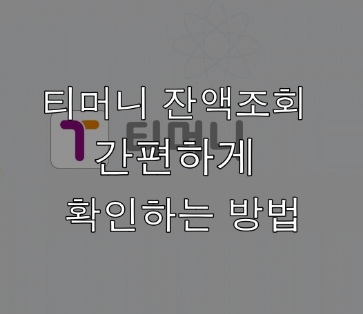  티머니 잔액조회 간편하게 5초만에 확인 하기