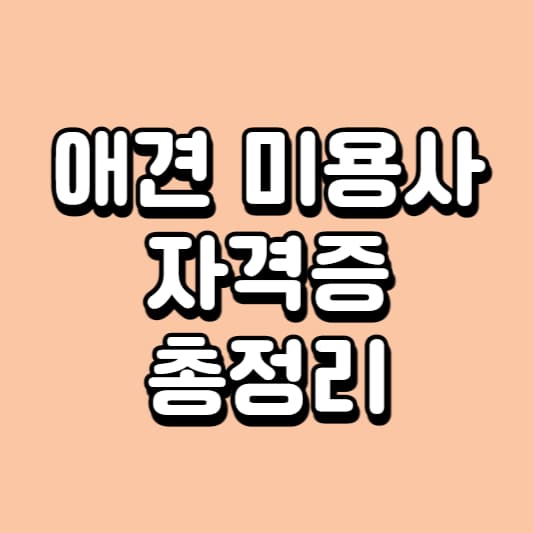 애견-미용사-자격증
강아지-미용사-자격증
강아지-미용-자격증