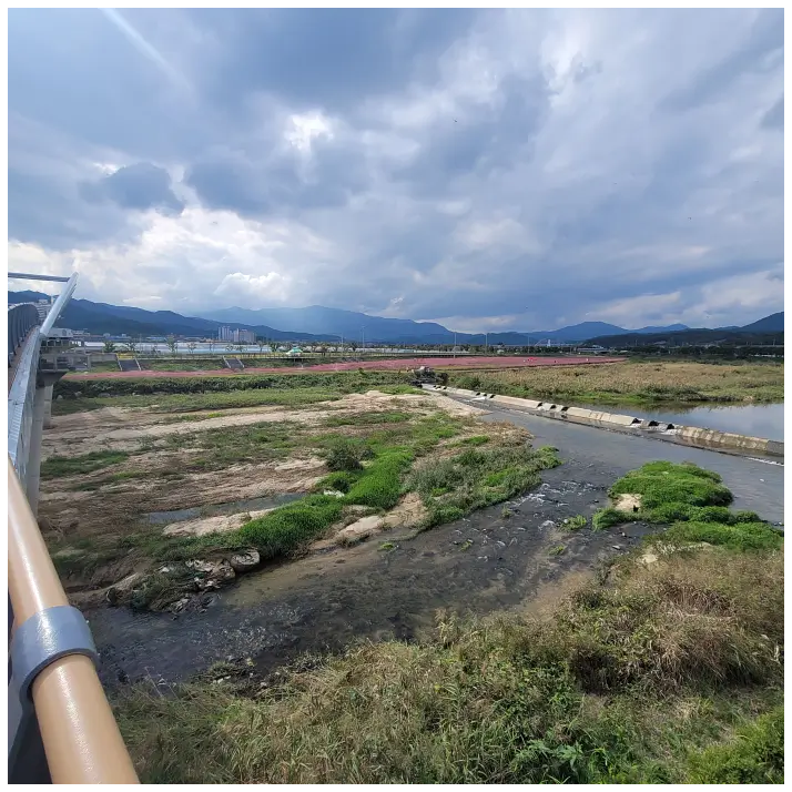다리를 건너가면서 핑크뮬리 서식지를 찍은 사진입니다.
