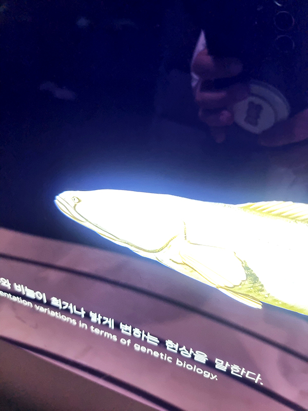 단양 아쿠아리움 다누리아쿠아리움