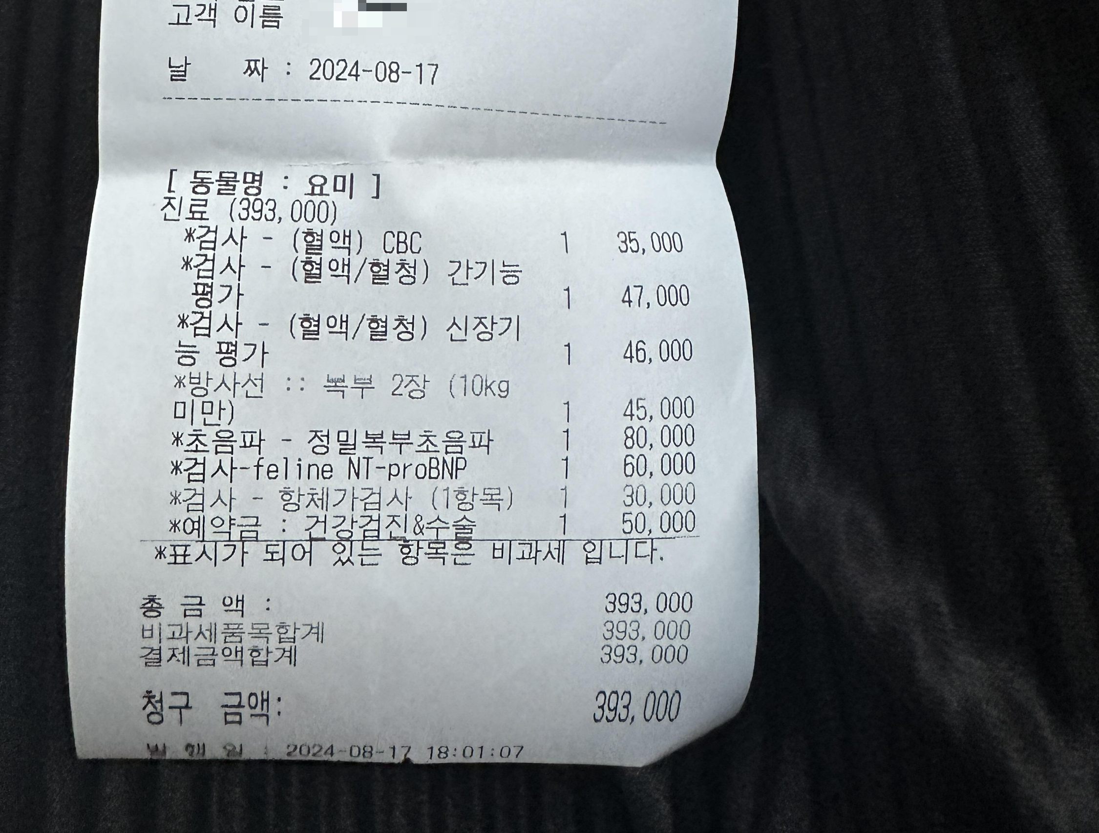 요미_병원_검사_비용