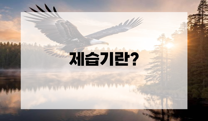 제습기란?