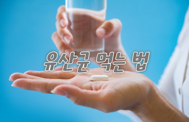 유산균-먹는-법-사진