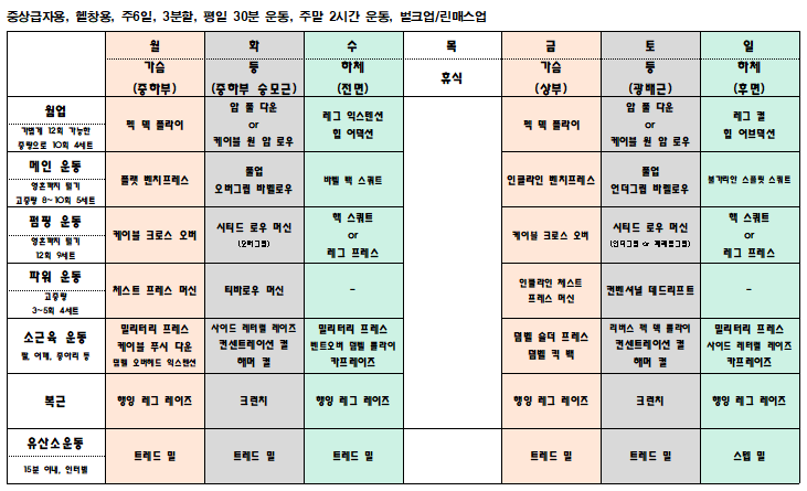  방학맞이 중상급자용 주6일 3분할 헬스 벌크업/린매스업 루틴