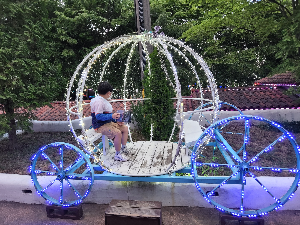 프로방스 호박마차