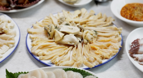 한국기행-코끼리조개