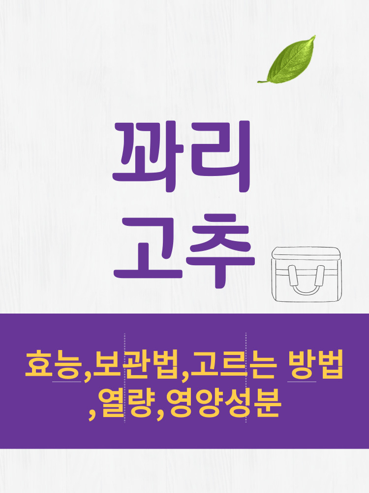  꽈리고추 효능 및 열량과 보관법 칼로리 총정리 
