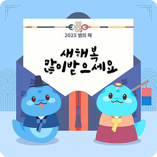 2025년 삼재띠