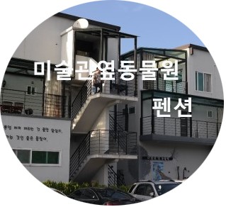  춘천 미술관옆동물원 펜션 후기 & 소개 (넓은 잔디 품은 펜션)