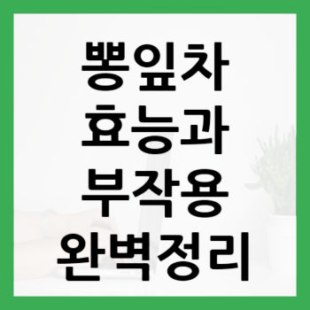 뽕잎차-효능-대표-썸네일