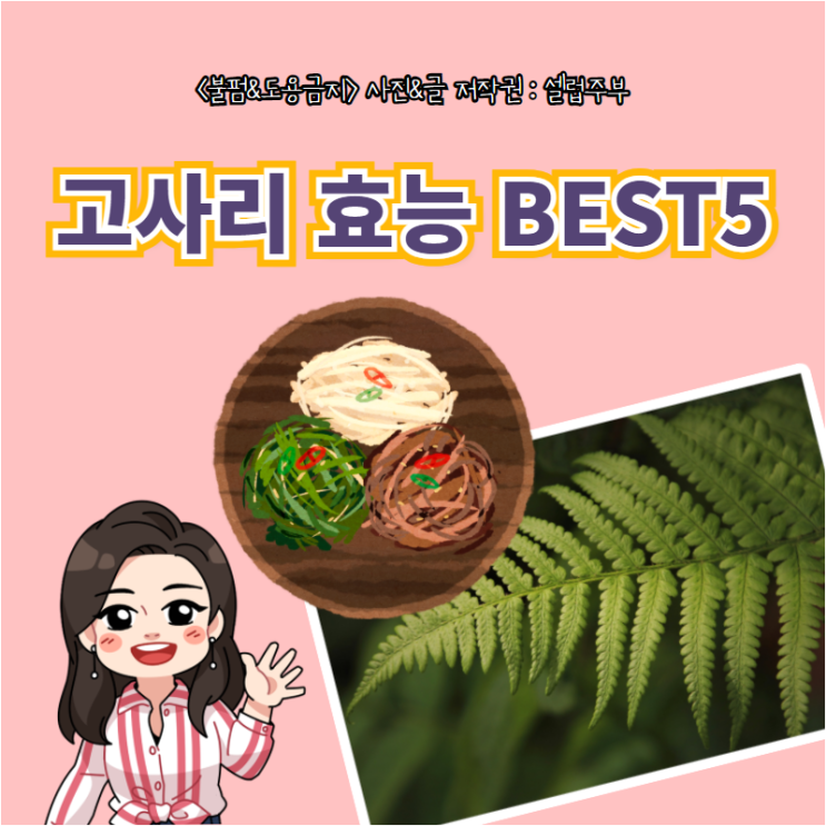 고사리 이미지