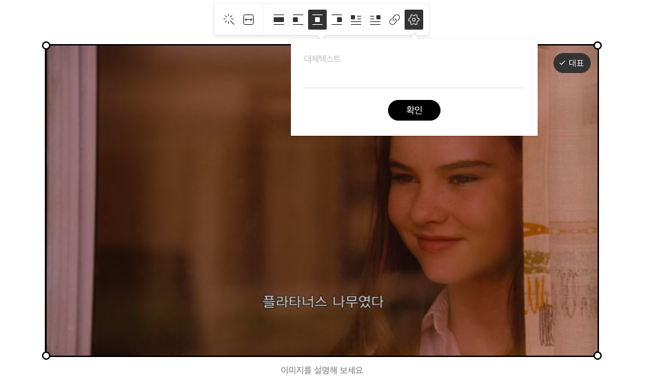 alt 속성