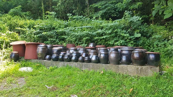 전주 삼천동 오리, 닭 전문 안행집