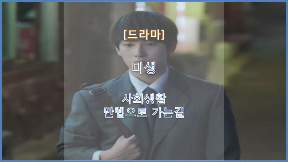  [드라마] 사회생활 만렙으로 가는 길 미생(2014) / 인생 드라마 추천