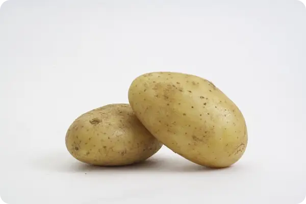 감자 삶는법