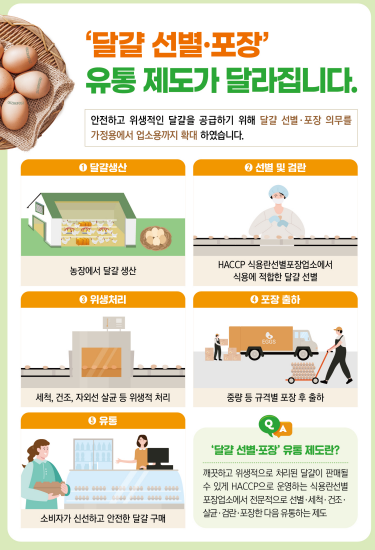  업소용 달걀도 선별 및 검수를 하여서 유통