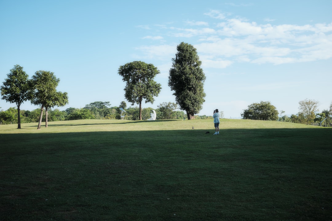 Park Golf