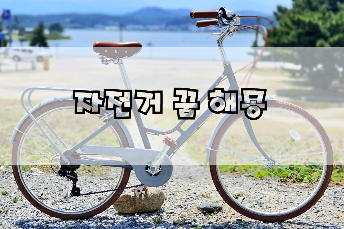  자전거 타는 꿈