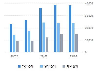 나이키 대차대조표