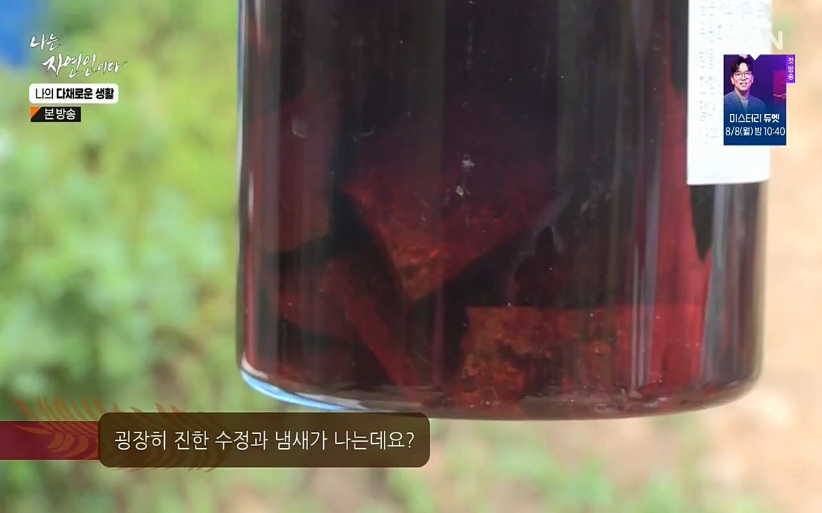 나는 자연인이다.E513.220804p-NEXT.mp4_20220804_202002.741.jpg