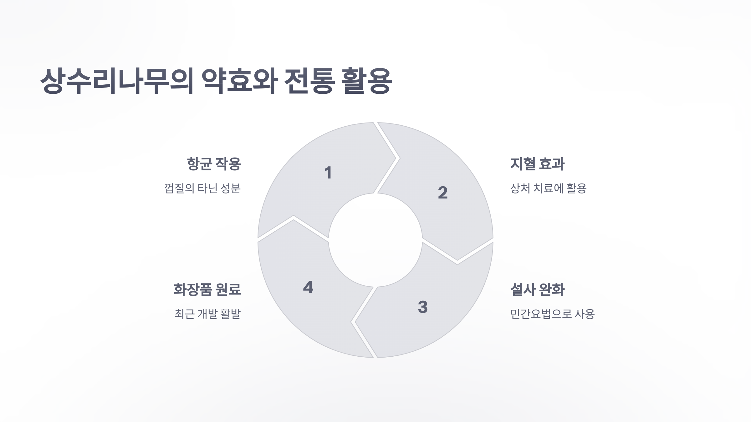 참조-상수리나무-3