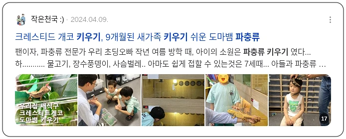 파충류 키우기_2_subsection