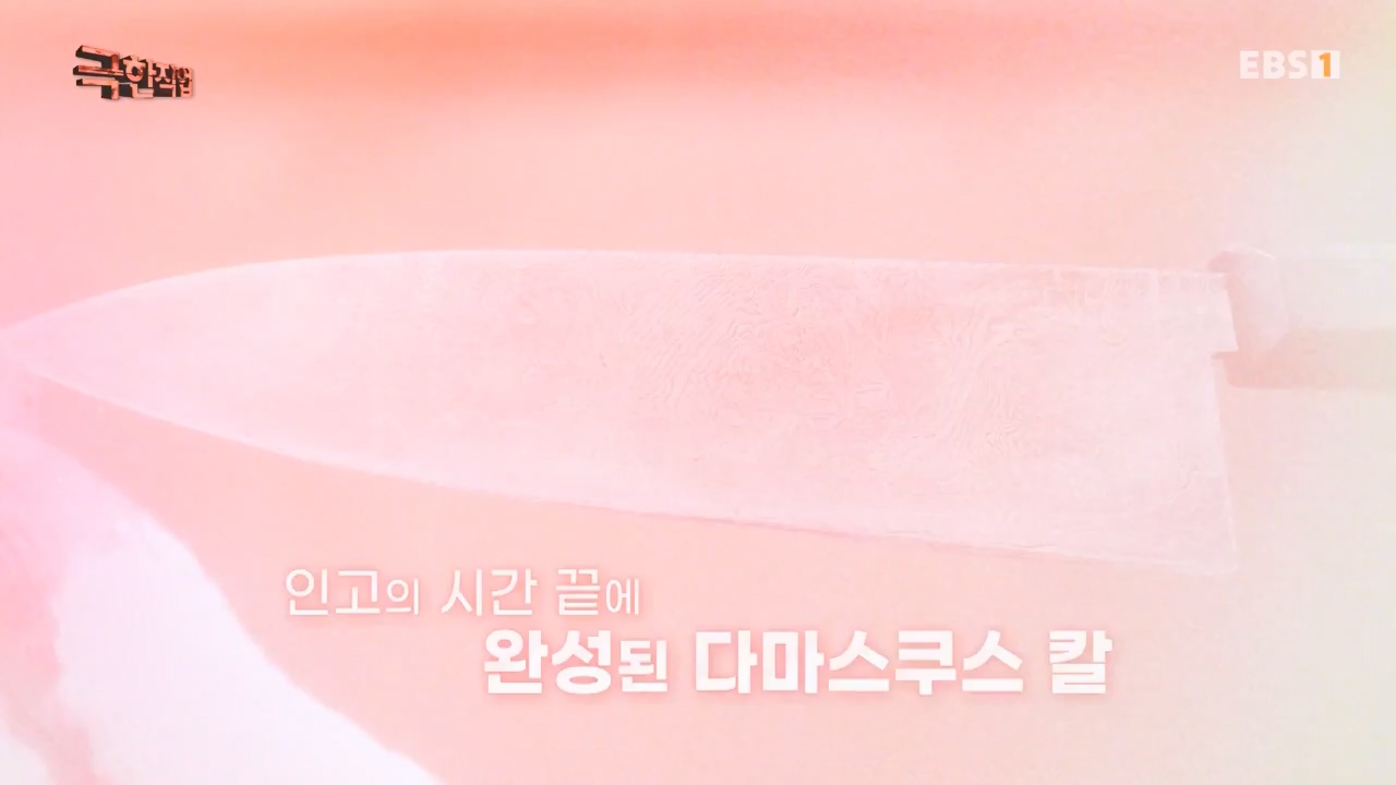 TV - 전 국민의 평생학교 EBS주방속 명품 조연!.mp4_20240312_202407.691.jpg