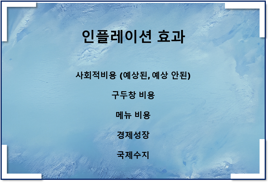  인플레이션 효과(사회적 비용, 구두창 비용, 메뉴비용, 경제성장, 국제수지)