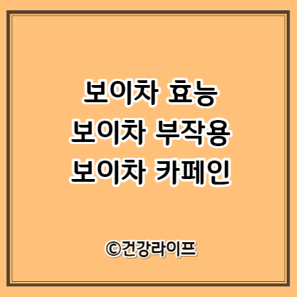 보이차 효능&#44; 보이차 부작용&#44; 보이차 카페인