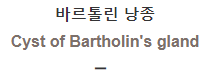  바르톨린 낭종 [Cyst of Bartholin's gland]