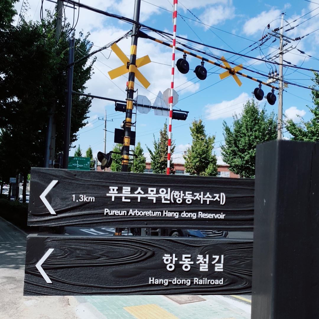  [구로구 항동]인생샷 성지 항동철길/푸른수목원(가을에 갈만한 곳)