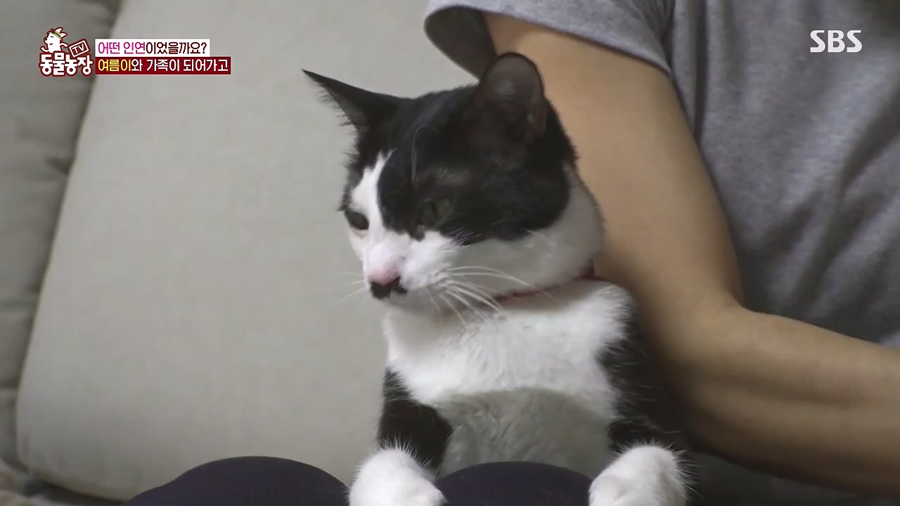 TV 동물농장.E1178.240630.ts_20240630_164652.924.jpg