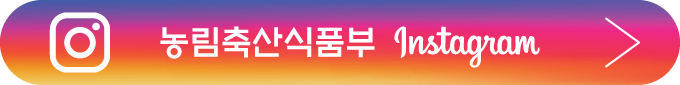 무늬종 의 비밀 8