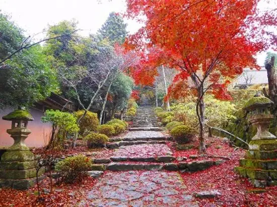 히코산 신궁