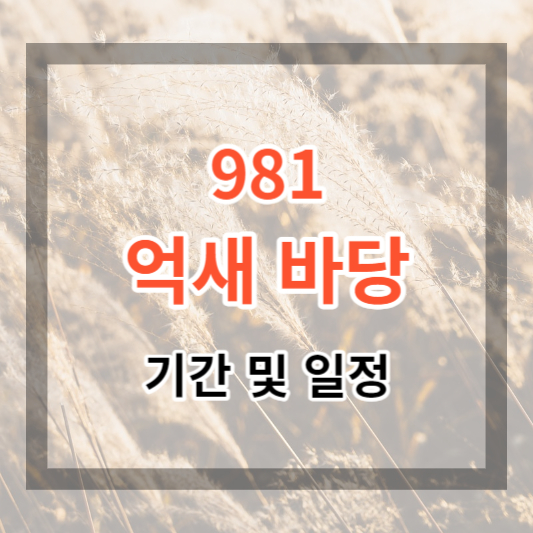  981 억새바당 기간 및 일정, 행사 정보 가을 억새 축제 보러 가기