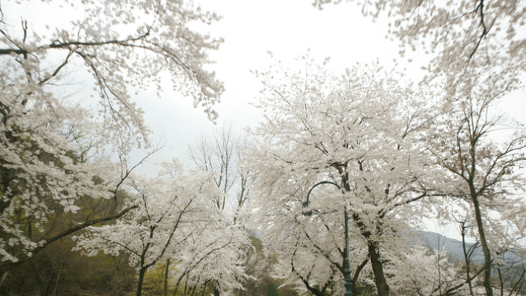 금오산 등산코스