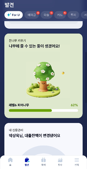 돈나무 키우기