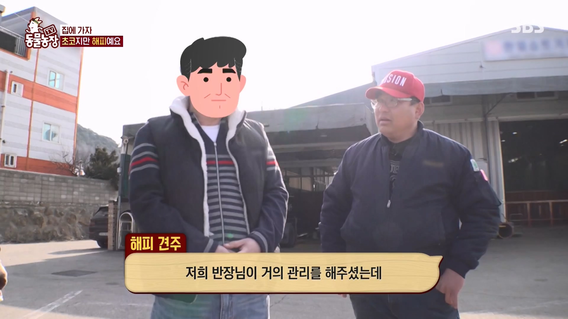 TV 동물농장.E1161.240303p-NEXT.mp4_20240303_172259.576.jpg