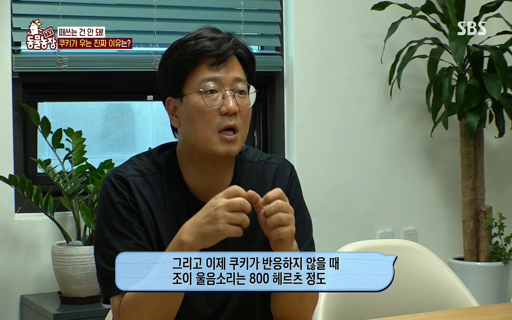 TV 동물농장.E1077.220710p.H264-F1RST.mp4_20220710_175424.838.jpg