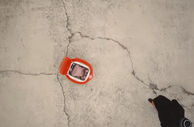  강아지 같이 귀여운 물건 운반 로봇 '지타미니(Gitamini)' VIDEO: Vespa maker Piaggio launches adorable $1,850 Gitamini suitcase robot...